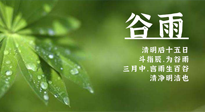 【二十四節(jié)氣灸】谷雨時(shí)節(jié)，用艾為您的健康加上一道保險(xiǎn)！