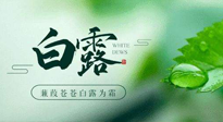 【二十四節(jié)氣灸】白露涼爽，養(yǎng)心肝脾胃、滋陰潤肺是關(guān)鍵！